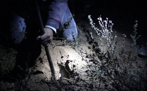 Conte Isso Àqueles que Dizem Que Fomos Derrotados