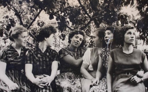 Love is Potatoes (Amor é Batata)